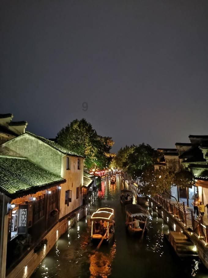 国王的坐骑